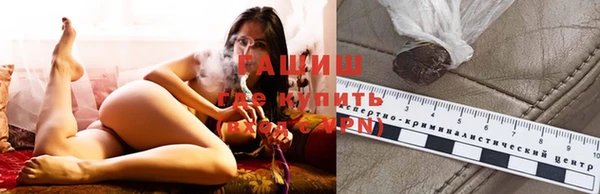 прущие грибы Армянск