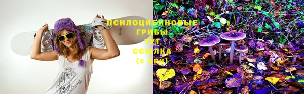 кокс Аркадак