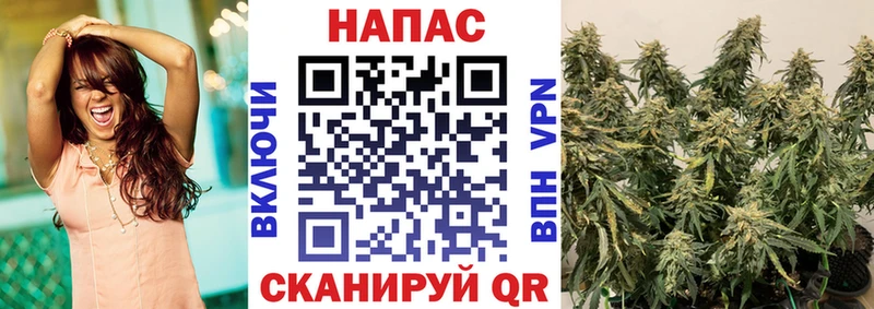 kraken как войти  Артёмовск  Конопля VHQ 